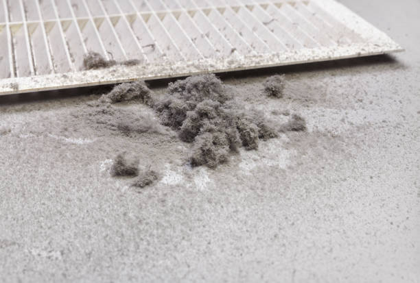 Best Home Air Vent Cleaning  in Pine Grove, PA