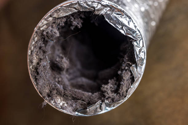 Best Best Air Duct Cleaning Company  in Pine Grove, PA