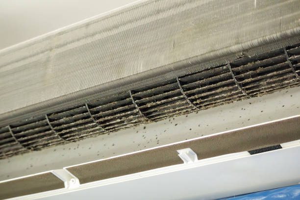 Best Affordable HVAC Duct Cleaning  in Pine Grove, PA